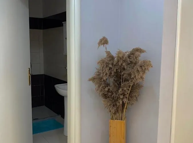 Aesthetic Daire Dıraç